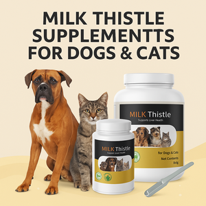 OEM ODM Organic <b>Detox</b> and Antioxidant Formula for Dogs and Cats Pet <b>Liver</b> Care Milk Thistle Powders Special Diet <b>Supplements</b> - Product Image 6