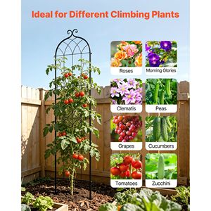 Traliccio per Rose 87 x 20 Pollici, Confezione da 2, Verniciato a Polvere, per Giardino e Fiori, con Blocco di Sicurezza, Recinzioni e Cancelli Pratici - Product Image 5