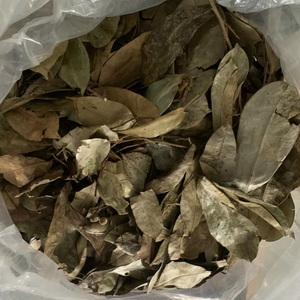 ผู้ผลิตเวียดนาม ใบเต้ารีดแห้ง ชาสมุนไพรธรรมชาติ ใบกราวิโอลา ขายส่งจำนวนมาก โรงงานส่งออก - Product Image 1