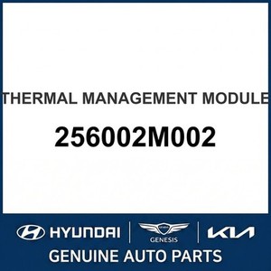 Pièces et accessoires automobiles et camionnettes neuves Elantra 256002M002 - Product Image 1