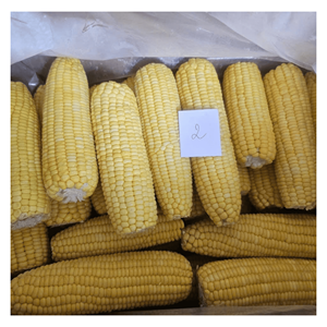 Maíz Congelado en Fábrica IQF, Empaque a Granel, Ideal para Ensaladas y Guarniciones Frías, Origen Vietnam, Corte Preciso, Preparación Rápida - Product Image 5