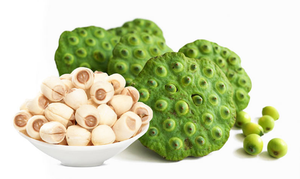 รากบัวแช่แข็ง IQF พรีเมียม – รากบัวหั่นชิ้นแช่แข็ง, ผู้จัดจำหน่ายจากเวียดนาม, ขายส่งจำนวนมาก, คุณภาพส่งออก // คุณทอม - Product Image 5