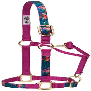 Licol pour cheval en nylon confortable et durable, motif bleu sarcelle et corail, avec quincaillerie en laiton réglable, en nylon épais - Product Image 4