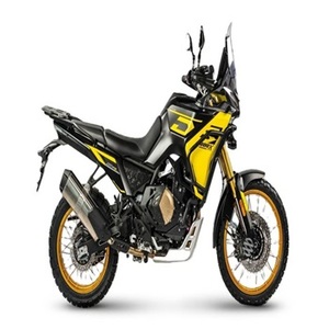มอเตอร์ไซค์รุ่น DS800X สำหรับการขับขี่แบบแรลลี่และการผจญภัย ยอดขายสูงสุด พร้อมใบอนุญาตพิเศษสำหรับการขับขี่บนถนน - Product Image 1