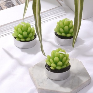 Velas Aromáticas TOOWIN con Diseños de Suculentas Artificiales, Velas Decorativas Románticas para el Hogar - Product Image 2