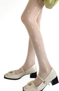 Collants transparents à motifs Y2K pour femmes, collants extensibles vintage, fournisseur en gros - Product Image 2