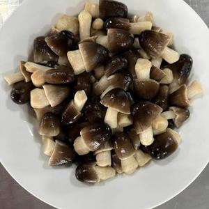 Fournisseur de champignons frais pelés, salés et en conserve du Vietnam - Prêts à consommer / John - Product Image 2