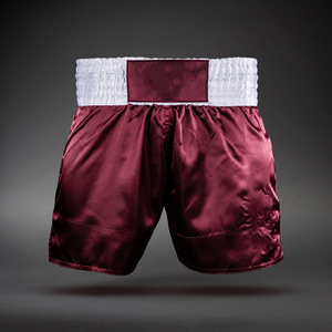 Shorts MMA de haute qualité, shorts de Muay Thai, shorts de boxe, plusieurs styles disponibles - Product Image 2