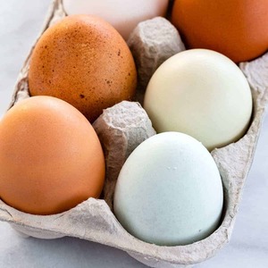 Huevos de Gallina Frescos Premium Blancos y Marrones, Clasificados Cuidadosamente para Compradores al por Mayor, Cáscaras Limpias, Cajas Seguras y Suministro para Exportación - Product Image 2