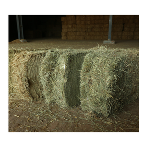 Balles de foin d'herbe Rhodes de haute qualité aliments pour animaux de qualité supérieure pour bovins moutons chèvres chevaux porcs - Product Image 1