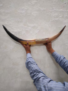 Grand cornes à boire viking en corne de buffle de 12 pouces, écologiques et en matériaux organiques, provenant d'Inde, disponibles en gros - Product Image 5