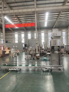 Fábrica de producción real de adecuada para varios polvos, mezclas de gránulos, tiras de llenado, máquinas de envasado inteligentes - Product Image 2