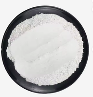 CACO3 Carbonate de Calcium Précipité en Poudre à Base d'Époxy Qualité Revêtement Qualité Alimentaire Calcaire Blanc Livraison Rapide Véritable