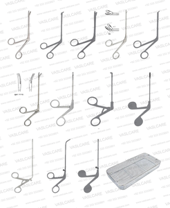 Kit de microchirurgie nasale Berghaus, manuel, en acier inoxydable allemand, comprenant des perforateurs Stammberger, des pinces Kuhn-Bolger et des pinces Blakesley - Product Image 3