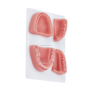 Almohadilla de Práctica de Sutura Dental 3D de Alta Calidad, Modelo de Entrenamiento de Instrumentos Quirúrgicos de Silicona, Venta al Por Mayor, Mejor Proveedor - Product Image 1