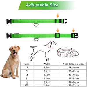 Collar LED para perro, ajustable, luminoso, recargable por USB, con luz intermitente de seguridad para visibilidad nocturna, varios colores, antipérdida. - Product Image 5