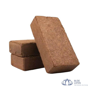 Blocs de cocofibre compressés de haute qualité à faible teneur en EC, très demandés, écologiques et durables, substrat en vrac pour serres - Product Image 1