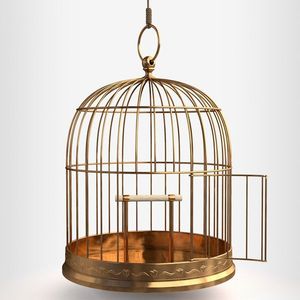 Cage à oiseaux compacte en métal, idéale pour les petits appartements, les maisons, les bureaux et les espaces intérieurs restreints - Product Image 4