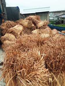 Fabricant vietnamien de fibres naturelles séchées d'hydrocotyle pour l'artisanat et le tissage, fournisseur en gros, exportateur - Product Image 5