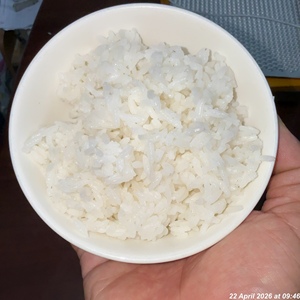 ข้าวขาวจัสมิน |   29/5/2026 10:30 น. |   179/26 - Product Image 1