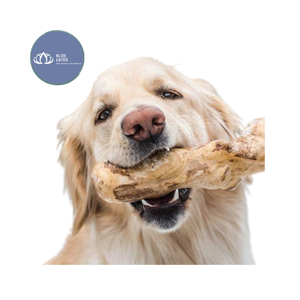สินค้าขายดี |   ไม้กาแฟรักษ์โลกสำหรับสุนัข ของเล่นเคี้ยวแบบขายส่ง ของเล่นดูแลสุขภาพฟันสำหรับสัตว์เลี้ยง ผลิตในเวียดนาม - Product Image 1