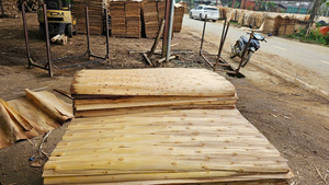 Placage de bois d'acacia 100 % naturel, écologique et durable, coupé rotativement, pour la construction industrielle et le contreplaqué - Product Image 2