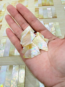 Concha de Nácar Natural de Vietnam Hecha a Mano, Material Ecológico Moderno para Arte Decorativo DIY e Incrustaciones en Muebles - Product Image 1