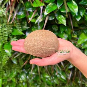 Trending 2026 Natural Half <b>Coconut</b> Shell Ice Cream Bowl Eco-Friendly Dessert <b>Cups</b> Wholesale From Eco2go Vietnam - Product Image 4