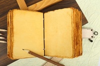 Carnet Grimoire Vintage A5 en Papier Champignon Relié à la Main 120 Feuilles Impression UV NEW ERA NEE-606 Bord Déchiré Coton