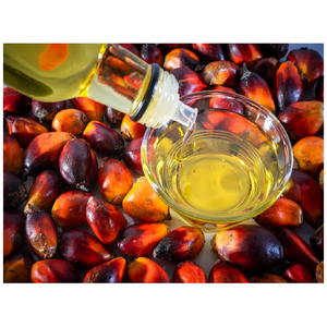 Huile de palme brute (CPO) de haute qualité à prix abordable, pureté 100%, pour la cuisson, du Brésil, qualité supérieure, huile de palme rouge végétale - Product Image 5