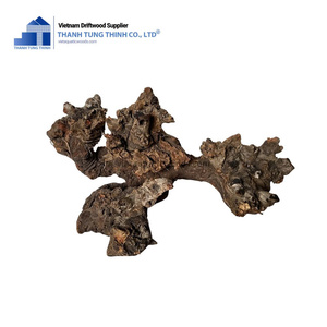 ไม้ลอยน้ำธรรมชาติคิมจิ ตกแต่งตู้ปลาแบบรักษ์โลก สำหรับเต่าและใช้งานกลางแจ้ง จากเวียดนาม - Product Image 6