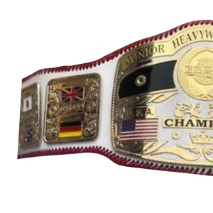 NOUVELLE Ceinture de championnat de lutte poids lourd junior USA, trophée personnalisé de haute qualité pour collectionneurs - Product Image 3