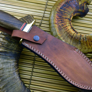 Couteau de survie tactique, lame pliante en acier inoxydable, équipement de camping, équipement d'aventure en plein air multi-usages, vente en gros - Product Image 5