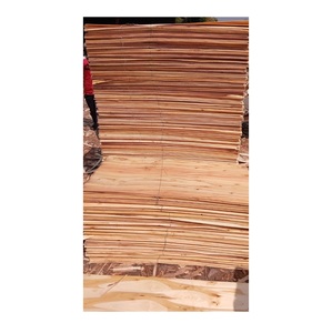 แผ่นไม้อัดพรีเมี่ยมบอร์ดทนทานความแข็งแรงสูงสำหรับเฟอร์นิเจอร์หรูหราและการออกแบบตกแต่งภายใน - Product Image 6