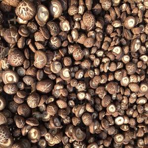 Cogollos de shiitake secos seleccionados a mano para distribuidores mayoristas y paquetes minoristas de Vietnam - Product Image 2