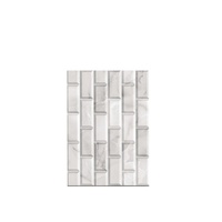 Design de luxe pour impression numérique Carreaux muraux en céramique 25x40 cm Surface brillante pour murs de cuisine et de salle de bain
