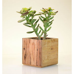 Pots à fleurs carrés en bois naturel faits à la main, modernes, pour intérieur, extérieur, jardin, décoration de la maison, pots à plantes en bois - Product Image 3