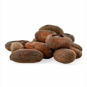 Granos de Cacao Crudos Orgánicos Secados al Sol |   Granos de Cacao de Alta Calidad con Aroma Agradable |   Proveedores y Fabricantes de Granos de Cacao - Product Image 6