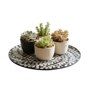 ถาดหมุนฝังเปลือกหอยกาบปะการัง - Product Image 4