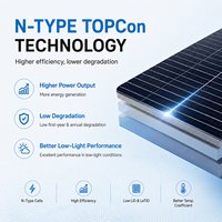 Panneau solaire bifacial double vitrage Trina Solar N-Type I-TOPCon 600W 610W 620W 630W TSM-NEG19R.70