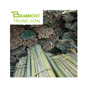 DISPONIBLE Bambú Ecológico de Medio Corte para Elegantes Actividades de Montaje de Cometas en Pakistán, Material de Construcción Resistente para Estructuras - Product Image 1