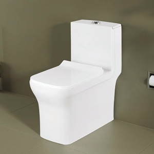 WC monobloc minimaliste à chasse d'eau par gravité, fixation murale ou au sol, en porcelaine, design S/P-trap, facile à nettoyer, équipement de salle de bain - Product Image 2