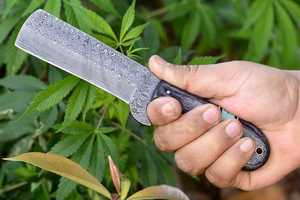Cuchillo de caza de hoja fija de acero de Damasco hecho a mano, personalizado y de primera calidad, con mango de madera y funda de cuero, punta caída. - Product Image 2