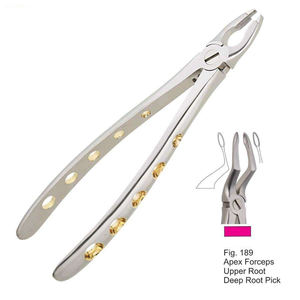 Forceps d'extraction dentaire réutilisables, instrument dentaire, forceps d'apex à motif anglais pour la racine supérieure et la racine profonde, Shuja Surgico - Product Image 5