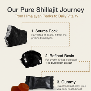 Shilajit Extract gummies ผลิตภัณฑ์เสริมอาหารผลิตจากแบรนด์เอกชน - Product Image 4