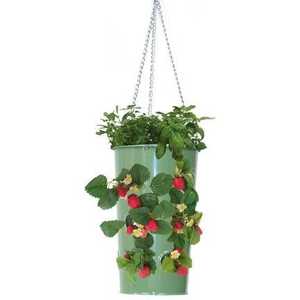 Arrosoirs suspendus en métal vert avec chaîne pour le jardinage, design durable - Product Image 2