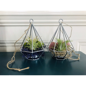 Caja Decorativa de Vidrio con Borde de Latón Vintage, Tapa con Bisagras, Cofre del Tesoro, Contenedor de Vidrio para Terrario, Almacenamiento de Joyas y Centro de Mesa - Product Image 1