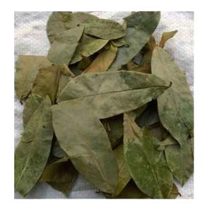 Votre compagnon de bien-être: feuilles de corossol séchées biologiques pratiques - Product Image 1