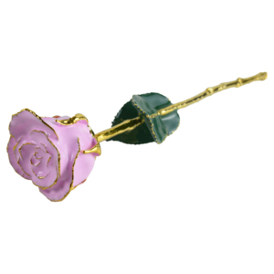 Rosa Real Esmaltada en Rojo, Diseño Moderno y Empaque de Lujo, Acabado Combinado Dorado de 24k, Ideal para Regalo, Rosa Natural Preservada - Product Image 4