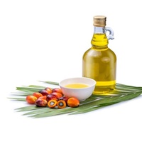RBD Biologische Premium Kwaliteit Gehydrogeneerde Palmolie met 100% Zuiverheid